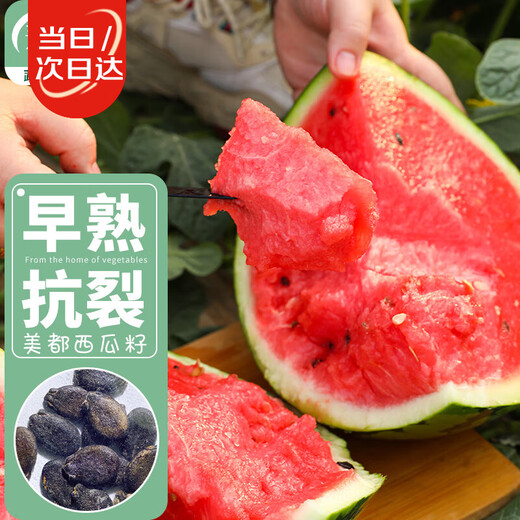 Shouhe watermelon seed seedlings are sweet, juicy and thin-skinned. Fruit seeds for home potted planting. Meidu watermelon seeds 25 capsules.
