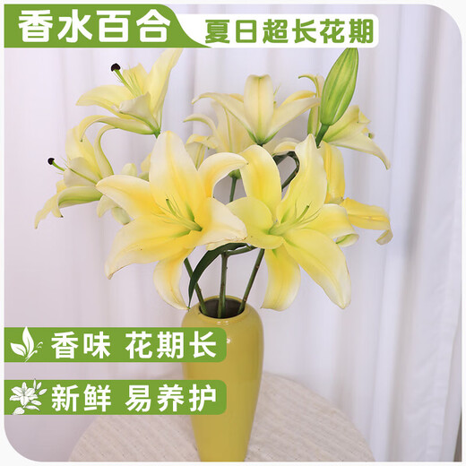 AB-grade high-quality perfume lily flowers hydroponic flower arrangement family life water-raised fresh-cut roses from Yunnan straight hair high-quality AB-grade random color large buds 6 lilies + preservative