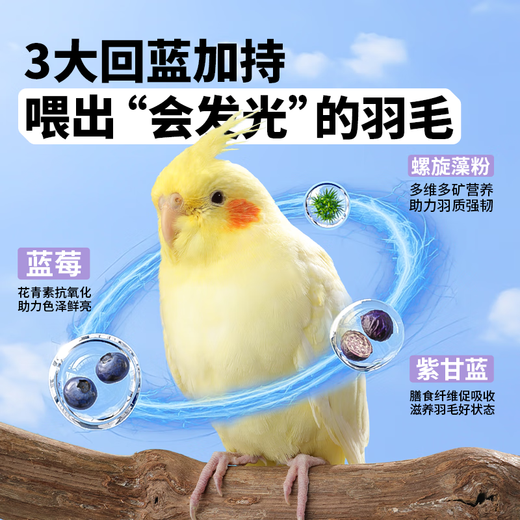 CARNO PET PRODUCTS Carno blue BUFF small parrot full price food tiger skin peony special feed bird food 100g