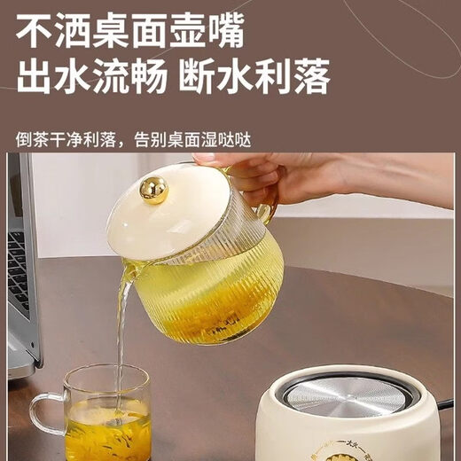 LDVEP German brand wine kettle, constant temperature electric heating, rice wine warmer, glass white wine flower carving wine kettle, teapot, three-speed temperature adjustment 450ML-Crown White