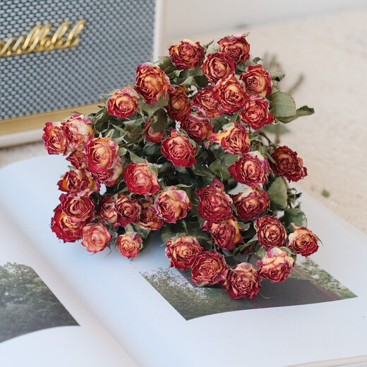 Dried flower multi-headed roses air-dried handmade flowers real flowers graduation photo living room decoration ins home furnishings ins style fantasy bubbles 35 flowers