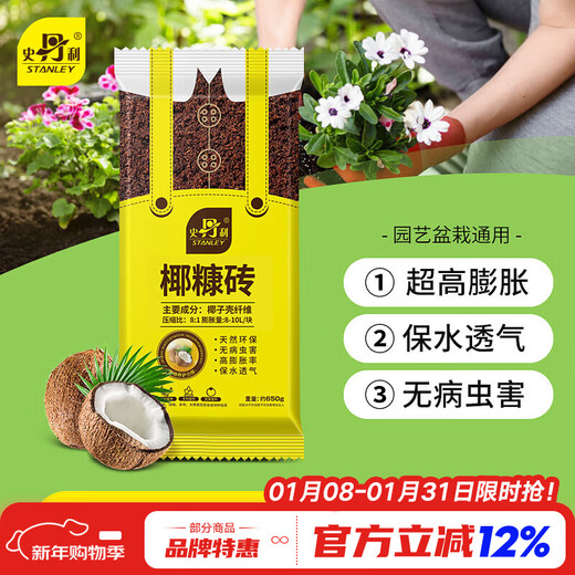Stanley volcanic stone particles red volcanic rock bottom sand natural succulent orchids special flower-growing red paving stone
