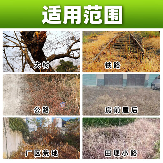 Barometer 75% cyclazinone tree dead tree removal agent, special medicine for removing big trees, bamboo shrubs, herbicides, root rot medicine 50g*1 bag, high concentration root rot agent