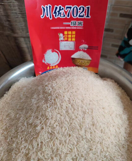Long-grain fragrant rice Chuanyou 7021 rice seed national standard first-grade fragrant rice has a soft taste but not glutinous and chewy Chuanyou 7021 500g/bag 5 bags