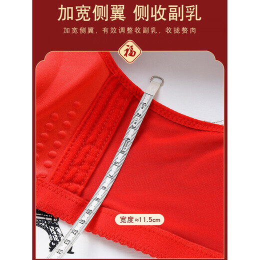 Beautiful Triumph 2026 Year of the Horse Sexy Big Red Small Breasts Gathered Wedding Bride's Year of the Pig Underwear Set Women's Bra Without Wires Phoenix Suit 75B =34B