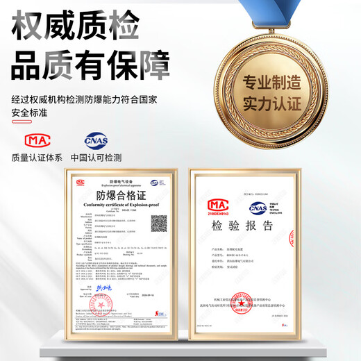 Explosion-proof junction box 300*400 junction box lighting instrument box control box explosion-proof electrical cabinet 500 600 250 explosion-proof type