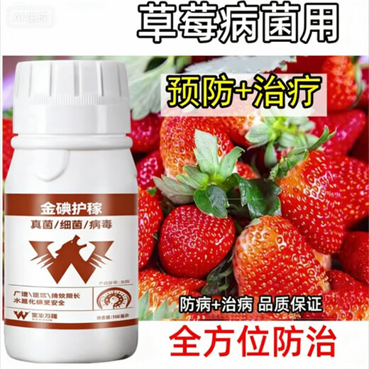 Complete treatment of strawberry diseases, special strawberry bactericidal medicine, red center column, strawberry white powder, root rot, gray mold, leaf spot, soft rot anthrax, gold iodine protection 500 ml (mixed with 800 Jin of water, Jin is equal to 0.5 kg)
