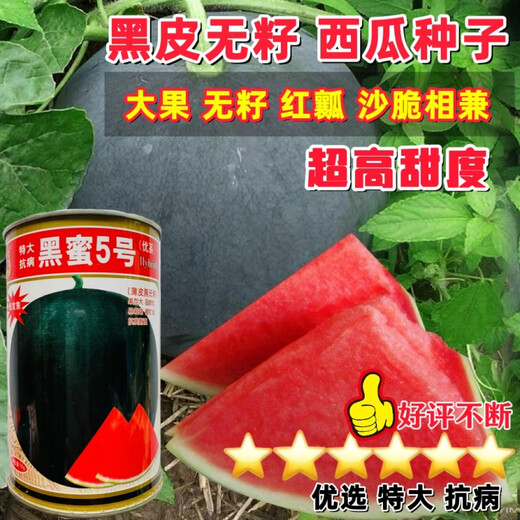 Chunzhiyun Heiba No. 1 black skin red flesh seedless watermelon seedless seeds super sweet thin skin high yield watermelon base for field use Black Honey No. 5 black skin red flesh seedless watermelon 700 capsules
