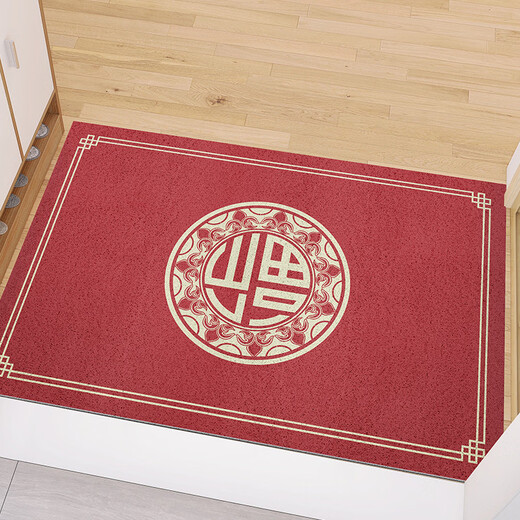 Fantasy festive door mats entrance door household floor mats entrance door wire loop foot mats door mats bedroom carpet hi 50x80cm