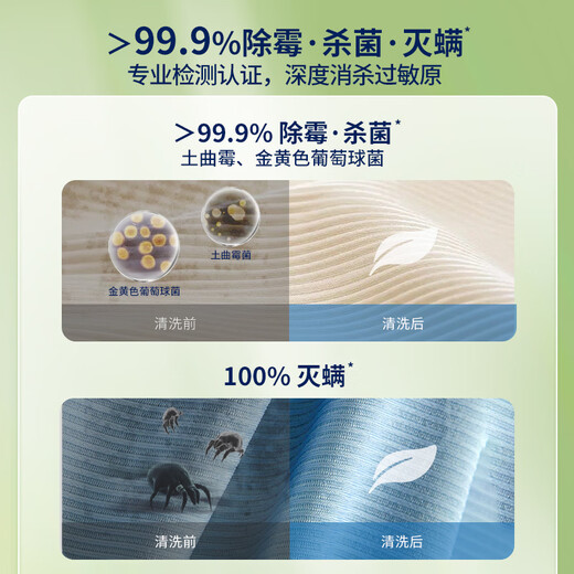 BISSELL active oxygen stain and decontamination cleaning solution fabric cleaning machine multi-functional cleaning machine special sofa carpet curtain mattress cleaning 99.9% sterilization, disinfection and deodorization cleaner 1L