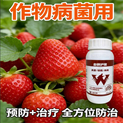 Complete treatment of strawberry diseases, special strawberry bactericidal medicine, red center column, strawberry white powder, root rot, gray mold, leaf spot, soft rot anthrax, gold iodine protection 500 ml (mixed with 800 Jin of water, Jin is equal to 0.5 kg)