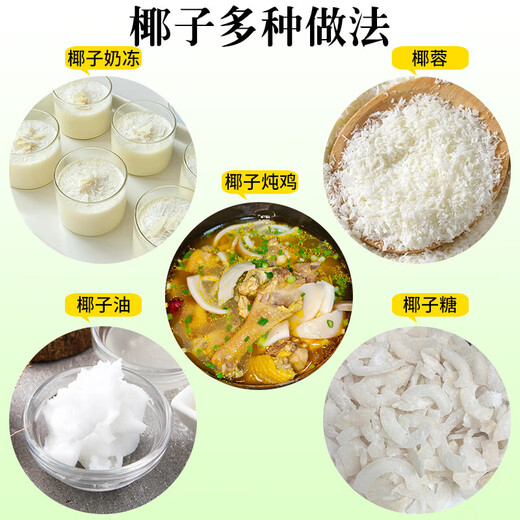 Hainan Wenchang Green Coconut with Skin Freshly Picked Coconut Juice Seasonal Fruit Coconut - Wancheng 4 pieces Hainan Green Coconut with Skin (Authentic Origin)