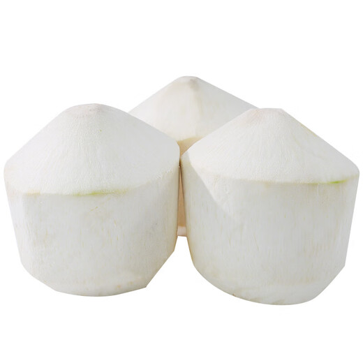 Hair straight from the source Hainan Wenchang peeled green coconut fresh coconut natural coconut water fresh fruit tastes a bit sour Hainan peeled green coconut 1