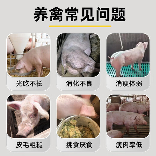 Genuine pig giant feed additives to promote fattening, promote growth, rapid weight gain, and fattening pigs to eat and gain meat 1 bag, 500g bag, pig fattening