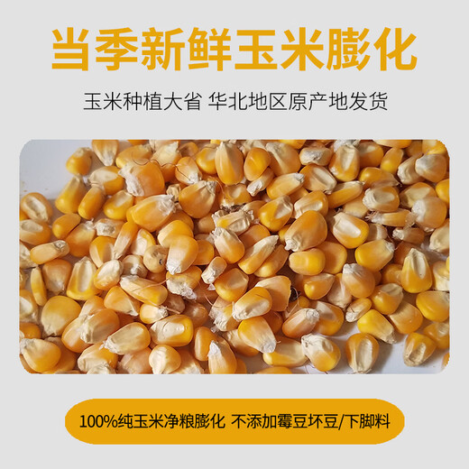 Puffed corn flour dog corn meal dog feeding raw materials dog farm feed dog food corn sticky flour sticky fishing bulk strong puffed corn 5Jin Jin is equal to 0.5 kg