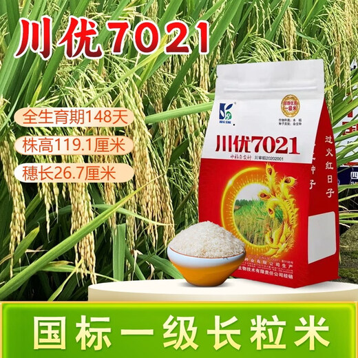 Long-grain fragrant rice Chuanyou 7021 rice seed national standard first-grade fragrant rice has a soft taste but not glutinous and chewy Chuanyou 7021 500g/bag 5 bags