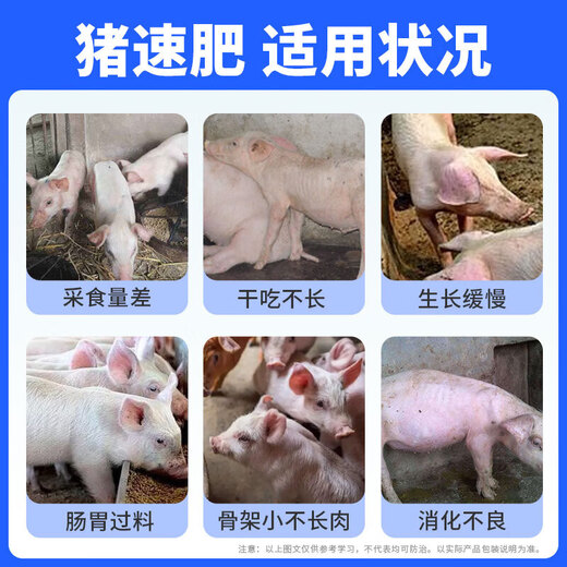 OIMG pig fattening, enlarging skeleton, growth-promoting premix, rapid growth, early slaughter, weight gain, fattening pig feed additive, buy 2 barrels, get 2 barrels free, 4 barrels in total.