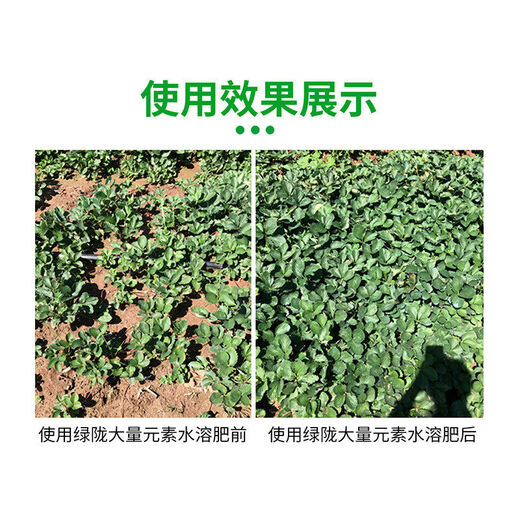 Green Long nitrogen, phosphorus and potassium balance high potassium rooting water-soluble fertilizer large-scale element water-soluble fertilizer nutrient fertilizer flush fertilization 20kg large-scale element balance type 20kg