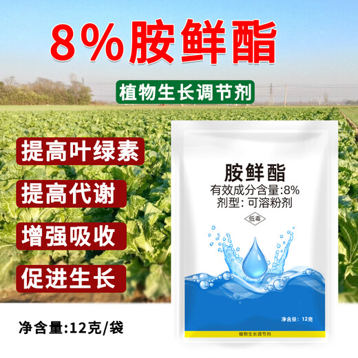 Runtian Baihu Official Genuine 8% Acetate Genuine Plant Growth Regulator Promotes Growth National Standard Wholesale 8% Acetate 12g*10 Bags