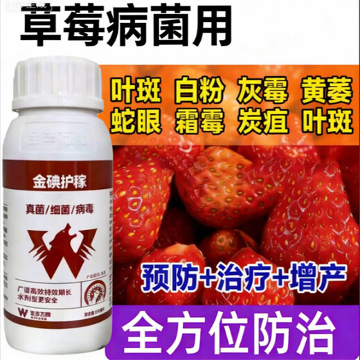 Complete treatment of strawberry diseases, special strawberry bactericidal medicine, red center column, strawberry white powder, root rot, gray mold, leaf spot, soft rot anthrax, gold iodine protection 500 ml (mixed with 800 Jin of water, Jin is equal to 0.5 kg)