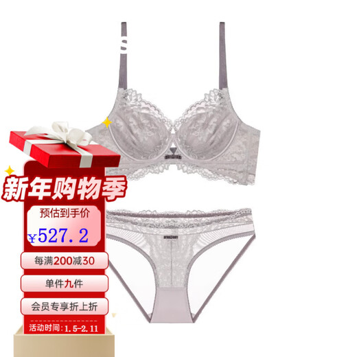 Markos International Brand French Sexy Lace Underwear Women's Thin Large Breasts Show Small Anti-Sagging Large Size Pure Desire Bra Set Gray Purple Set 70B
