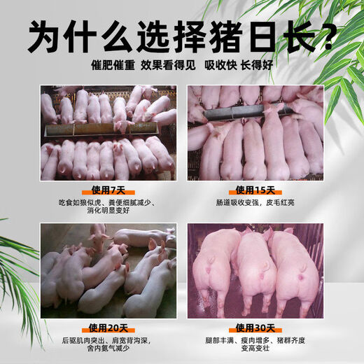 Pig day long pig fattening and fattening pig feed additive piglet piglet fattening agent pig premix, buy 10 bags and get 2 bags, real hair 12 bags