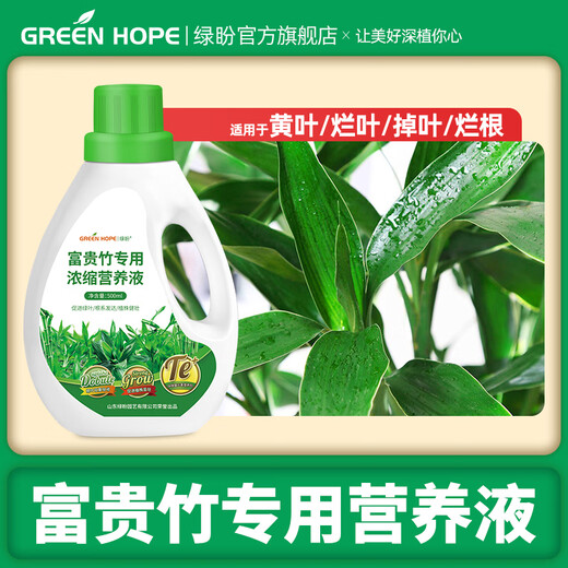 Green Hope Rich Bamboo Nutrient Solution Special Leaves Yellow Bamboo Branch Water Culture Hydroponic Fertilizer Green Plant Potted Soil Culture Transfer Bamboo