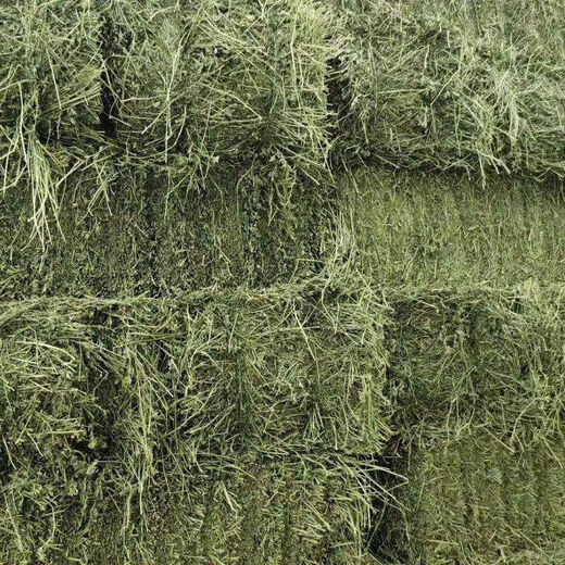 Alfalfa hay for cattle, sheep and horses, sheep grass, alpaca large zoo feed, alfalfa 20kg