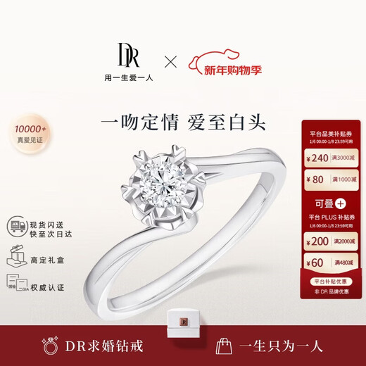 DR stacked snowflake design diamond engagement ring first snow kiss BELIEVE series platinum ring