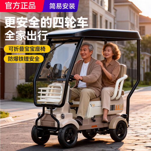 Reisvichi covered four-wheel electric car for the elderly with a shed, household urban small-sized disabled adult power-assisted battery car 48V25Ah ternary lithium battery