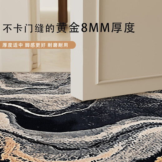 Fantasy entry door floor mats, light luxury door entry carpets, 2025 new door mats, cuttable entry mats, ink shadow gray wadding 80x120CM, upgraded Belgian velvet