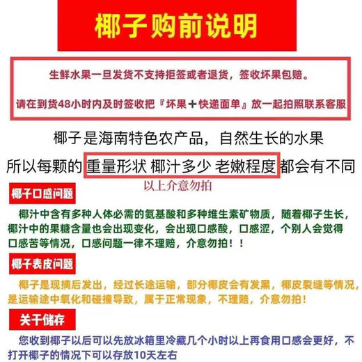 Hainan Wenchang Green Coconut with Skin Freshly Picked Coconut Juice Seasonal Fruit Coconut - Wancheng 4 pieces Hainan Green Coconut with Skin (Authentic Origin)