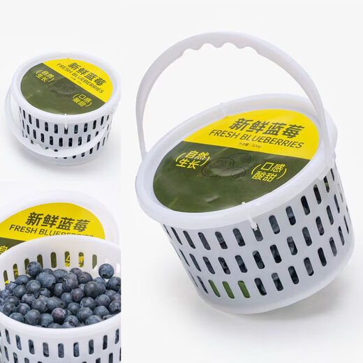 Fantasy blueberry basket with lid 1 Jin Jin equals 0.5 kg 2 Jin Jin equals 0.5 kg Picking basket loquat basket plastic basket sugar orange basket new material portable fruit basket 1 Jin Jin equals 0.5 kg packed without lid 800 white