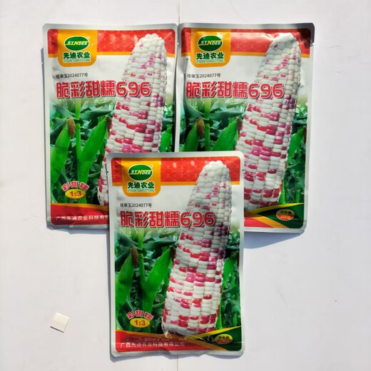 Семена кукурузы Cuicai Tiannuo 696, высокая урожайность, большая палка, устойчивость к болезням и полеганию, весенний и осенний посев Cuicai Tiannuo 696 оригинал 200г