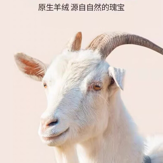 EGW International Luxury Brand Autumn and Winter Big Red Animal Year Pure Cashmere Scarf Warm Solid Color Scarf Birthday Gift Box 06-Big Red Gift Box