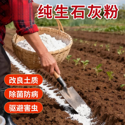 Yusenyi Vegetable Growing Quicklime Powder Disinfection Insecticide and Repellent Desiccant Improve Water Quality Improve Soil Mildew and Disease Prevention Quicklime Powder 20Jin Jin is equal to 0.5kg