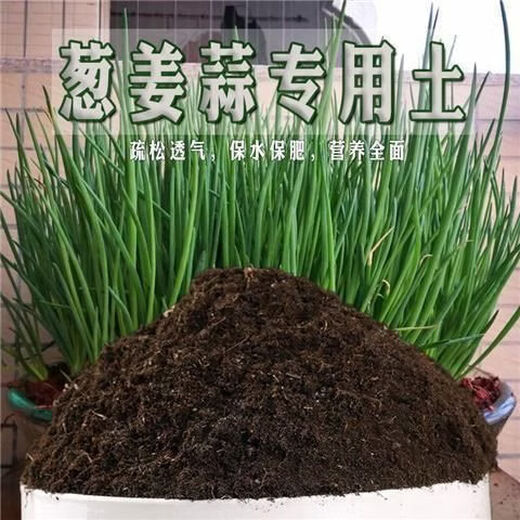 Onion, ginger, garlic, universal soil, flower and vegetable nutrient soil, nursery soil, flowers, golden kudzu, special organic soil fertilizer, vegetable nutrient soil 10 Jin Jin is equal to 0.5 kg