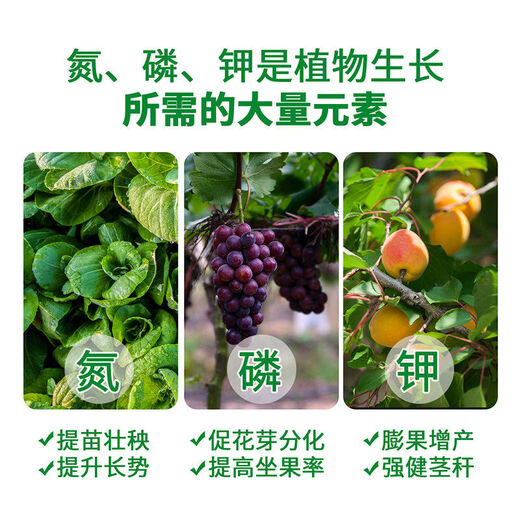 Green Long nitrogen, phosphorus and potassium balance high potassium rooting water-soluble fertilizer large-scale element water-soluble fertilizer nutrient fertilizer flush fertilization 20kg large-scale element balance type 20kg