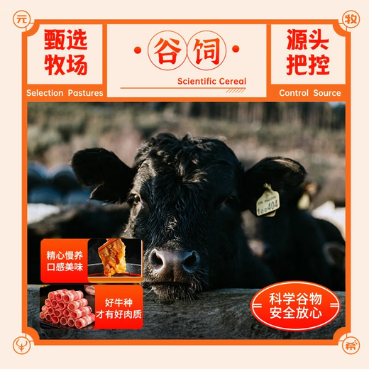 Yuan Muxi original grain-fed fresh fat beef rolls net weight 2Jin Jin is equal to 0.5kg / 2 bags beef rolls in sour soup hot pot barbecue slices fresh ingredients