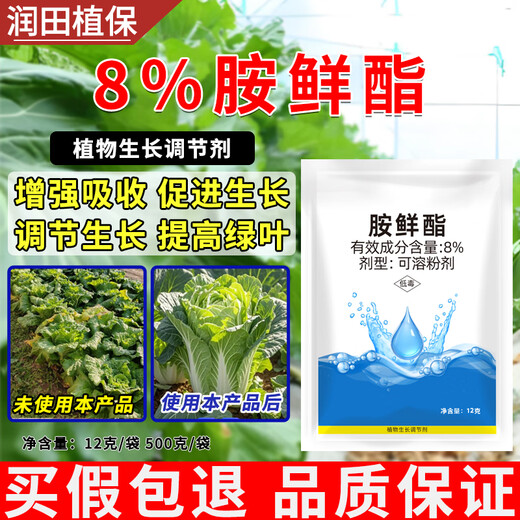 Runtian Baihu Official Genuine 8% Acetate Genuine Plant Growth Regulator Promotes Growth National Standard Wholesale 8% Acetate 12g*10 Bags
