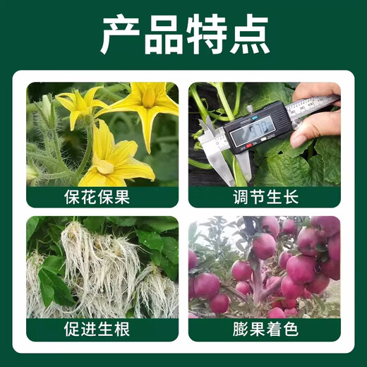 Quanfeng 98% Aminobutanol Original Powder Plant Growth Regulator DA-6 Flower and Fruit Preserving Pesticide Genuine 1000g*20 bags per barrel