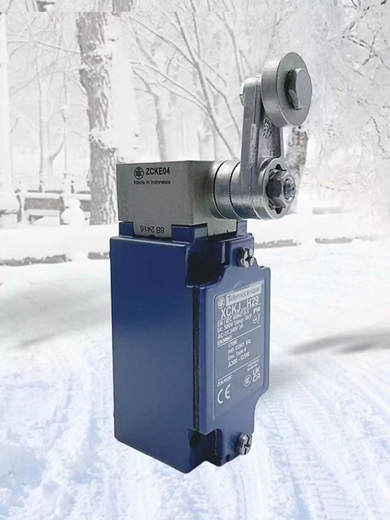 Imported Schneider travel limit switch XCKJ105431054110513511108167H29C XCKJ162H29C