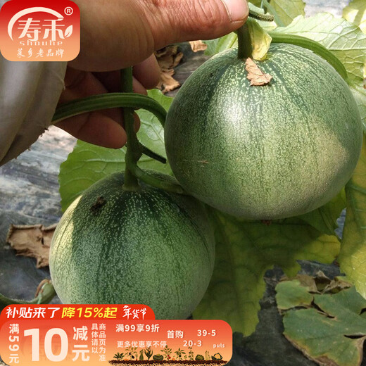 Shouhe Emerald Sweet Melon Seeds Thin Skin Green Skin Green Flesh Four Seasons Potted Shouguang Seeds Emerald Melon Seeds 50g