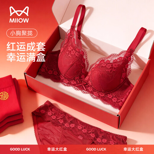 Cat Man Red Underwear Women's Qiji Red Small Breasts Gathered Animal Year Horse Year Harvest Secondary Breasts Pure Desire Sexy Bra Gift Box Set