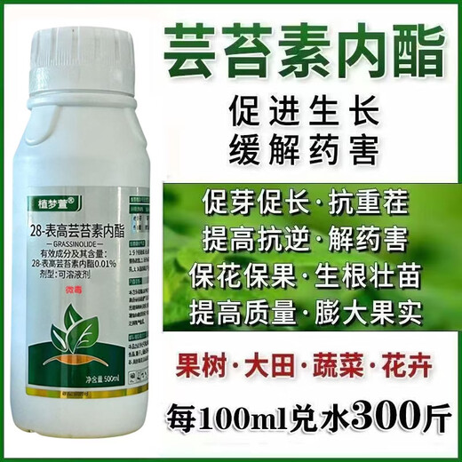 Genuine 28-epoxy brassinoids, internal lipids, rooting and strengthening seedlings, plants to regulate growth and increase yields, foliar fertilizers, pesticides, whole box wholesale, brassinoids 1000g, 12 bottles, 1 box