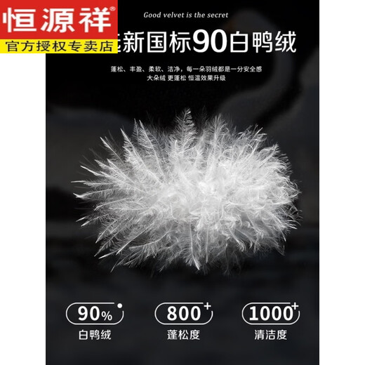 Hengyuanxiang Down Pants Women's Outerwear 2025 New Winter Northeastern Ski Latest Casual Pants Thickened Waterproof Slim Navy S 90-100Jin Jin is equal to 0.5kg