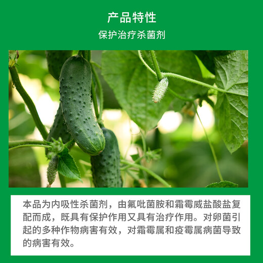 Bayer Silver Farley Cucumber Tomato Downy Mildew Late Blight Pesticide Fungicide Imported from Germany 100ml