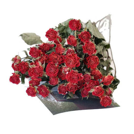 Dried flower multi-headed roses air-dried handmade flowers real flowers graduation photo living room decoration ins home furnishings ins style fantasy bubbles 35 flowers