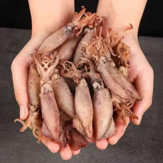 Dried sea rabbit small size sea rabbit cuttlefish dried squid dried small squid large pen tube fish seafood products bag portable small dried sea hare 500g*1 bag
