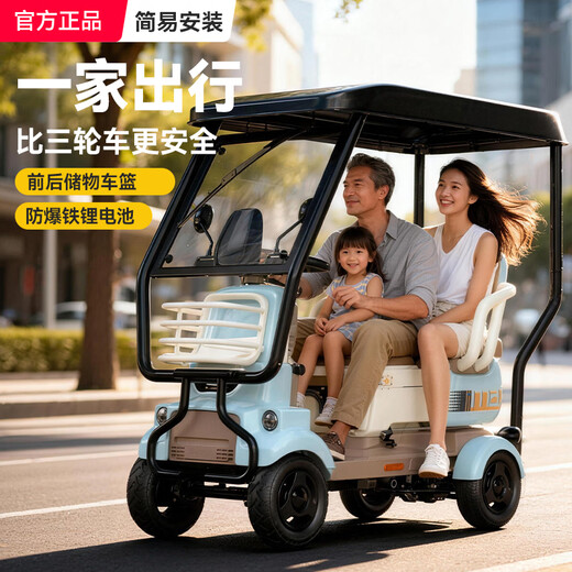 Reisvichi covered four-wheel electric car for the elderly with a shed, household urban small-sized disabled adult power-assisted battery car 48V25Ah ternary lithium battery